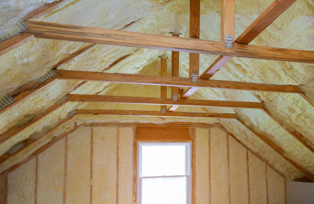 Best Eco-Friendly Insulation in Jackpot, NV