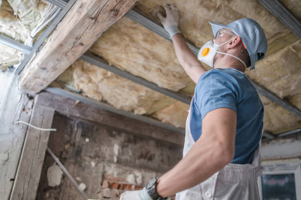Types of Insulation We Offer in Jackpot, NV